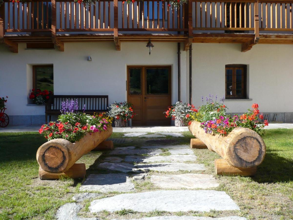 Drésalwoald Bed and Breakfast Gressoney-Saint-Jean Buitenkant foto